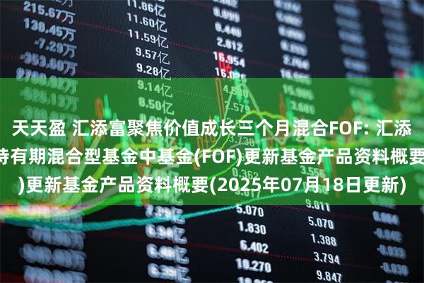 天天盈 汇添富聚焦价值成长三个月混合FOF: 汇添富聚焦价值成长三个月持有期混合型基金中基金(FOF)更新基金产品资料概要(2025年07月18日更新)