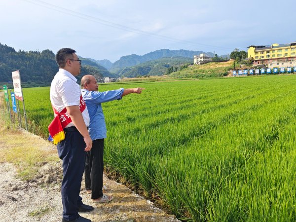 聚财略 工行凯里分行：金融“活水”润黔土 绘就乡村振兴好“丰”景