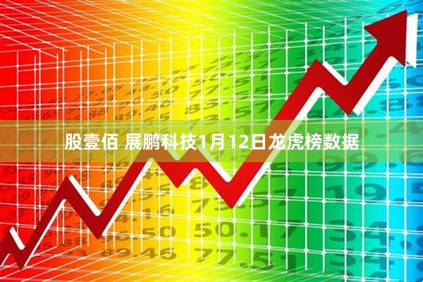 股壹佰 展鹏科技1月12日龙虎榜数据