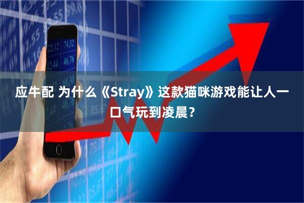 应牛配 为什么《Stray》这款猫咪游戏能让人一口气玩到凌晨？